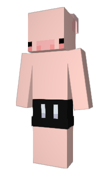 Minecraft skin PigPon