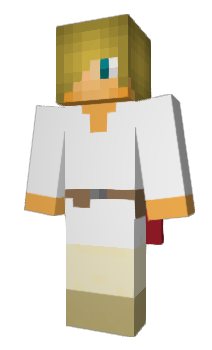 Minecraft skin __FORCE__