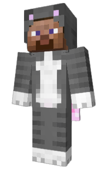 Minecraft skin Player