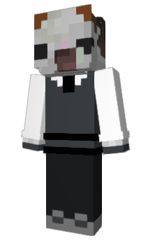 Minecraft skin retsz