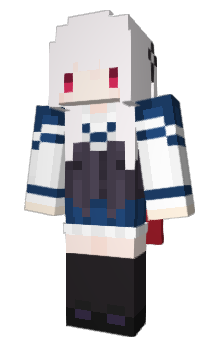 Minecraft skin solokill_fake