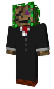 Minecraft skin Bushick