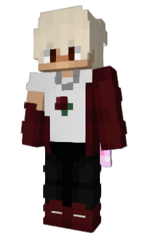 Minecraft skin mhamster