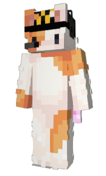 Minecraft skin NonyNap