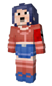 Minecraft skin Comter