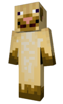 Minecraft skin puggle