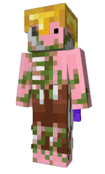 Minecraft skin Piggv