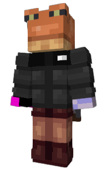 Minecraft skin Sdiggik