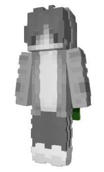 Minecraft skin wsws