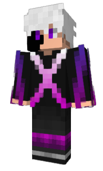 Minecraft skin ZRMI