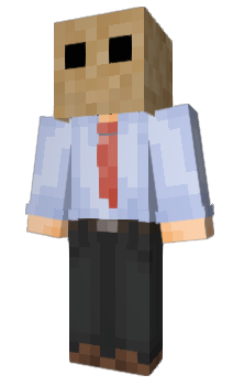 Minecraft skin PovertyBag