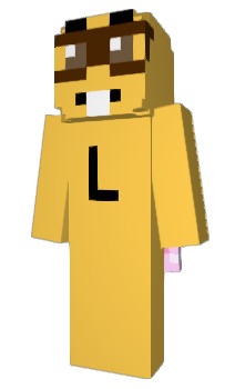 Minecraft skin NerdH