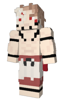 Minecraft skin 566K