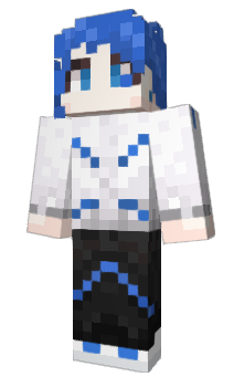 Minecraft skin PIMAM