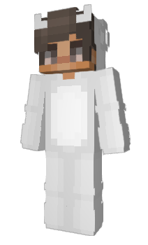 Minecraft skin zSteven