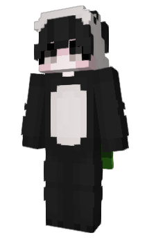 Minecraft skin SXetslPN