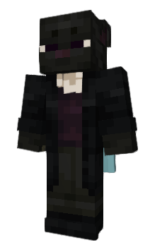 Minecraft skin DFDarkFox