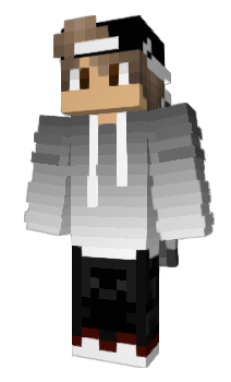 Minecraft skin Pr4yforParis