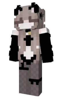 Minecraft skin nsit