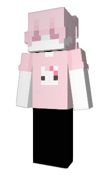 Minecraft skin nsit