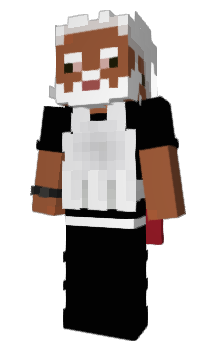 Minecraft skin erdw