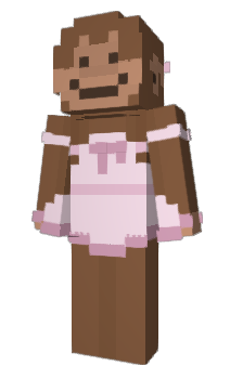 Minecraft skin iWindow