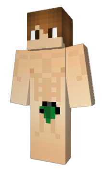 Minecraft скін по ніку vitorinhagamer