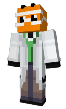 Minecraft skin FlashFly