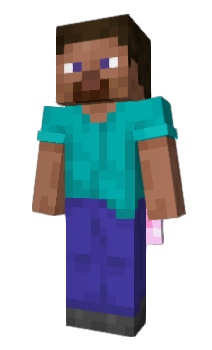 Minecraft skin fgir