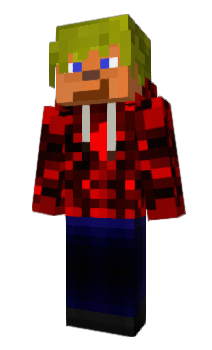 Minecraft skin auctioneer