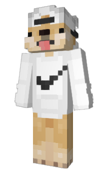 Minecraft skin SkZinn