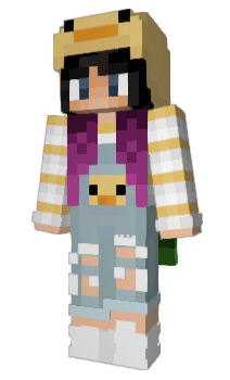 Minecraft skin paracetamor