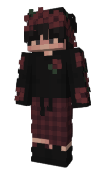 Minecraft skin Drnu