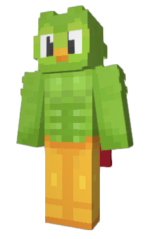 Minecraft skin Checcky