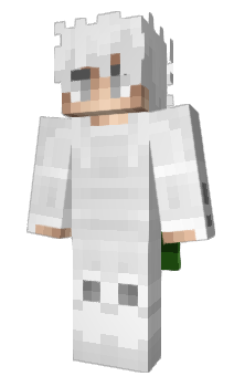 Minecraft skin PurblePlace