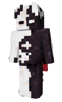 Minecraft skin KWQW