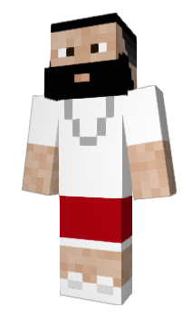 Minecraft skin NoBrawl