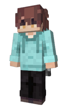 Minecraft skin Integr