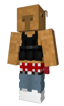 Minecraft skin ARnh