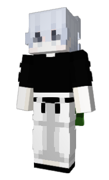 Minecraft skin evensure