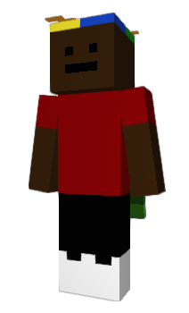 Minecraft скін по ніку wpina