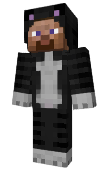 Minecraft skin jmkl