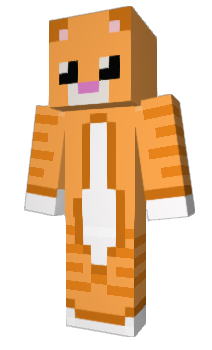 Minecraft skin JITJ