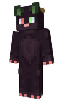 Minecraft skin wrrf