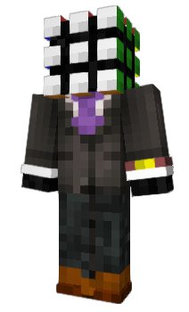 Minecraft skin 375mL