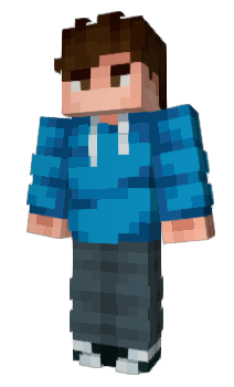 Minecraft skin EDREGO