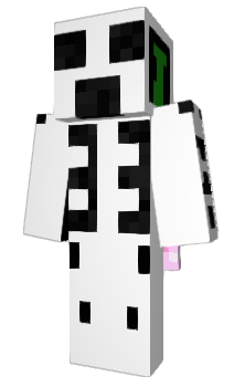Minecraft skin 33lj
