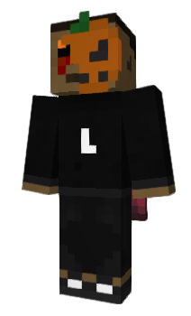 Minecraft skin hlgd