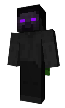 Minecraft skin Remi