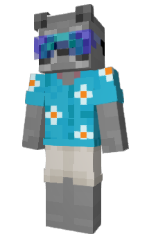 Minecraft skin raccoon_